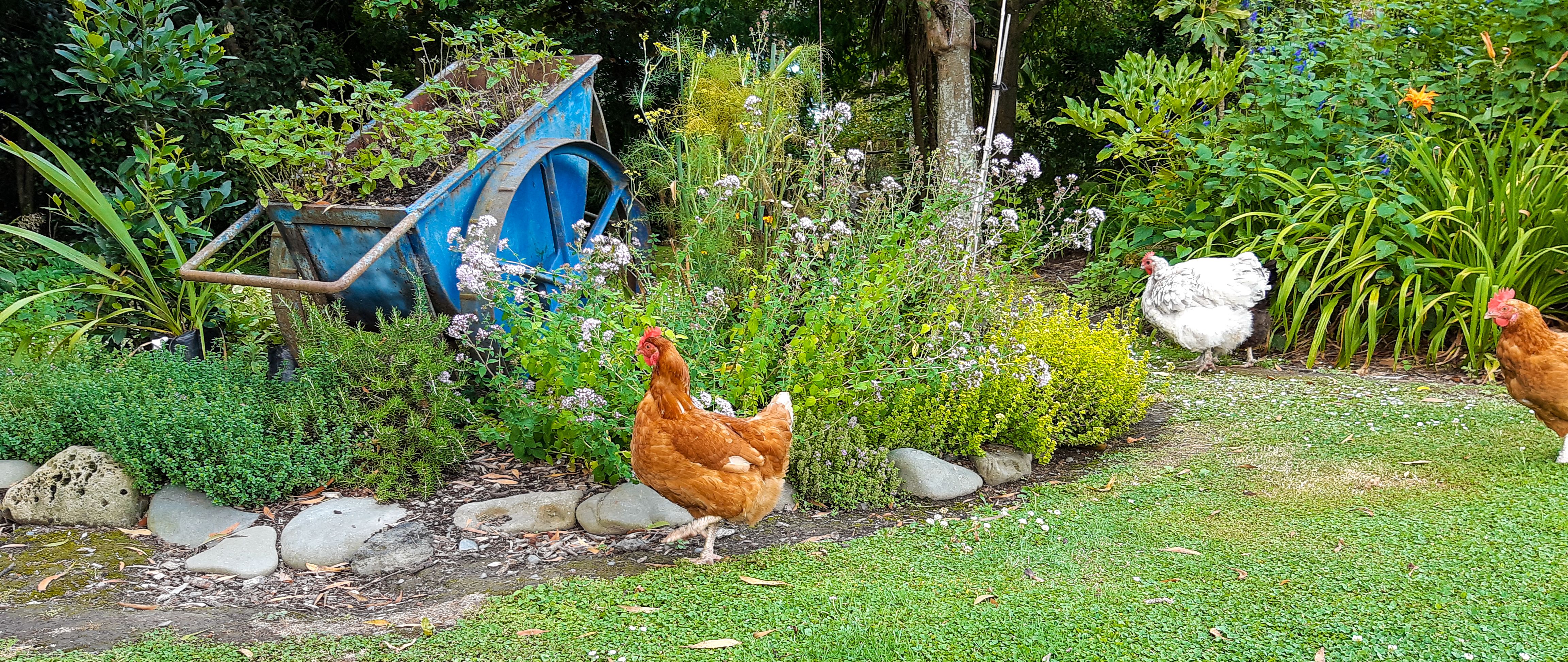 What’s Unique about Clive Colonial Cottages.....