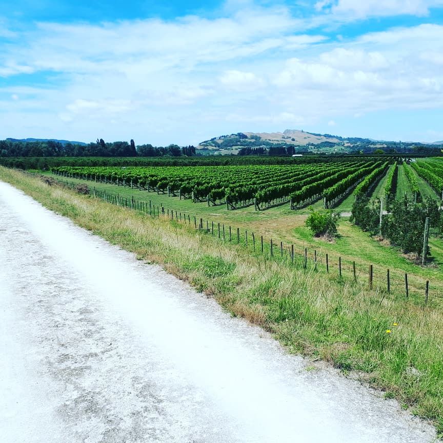 Cycling Trip